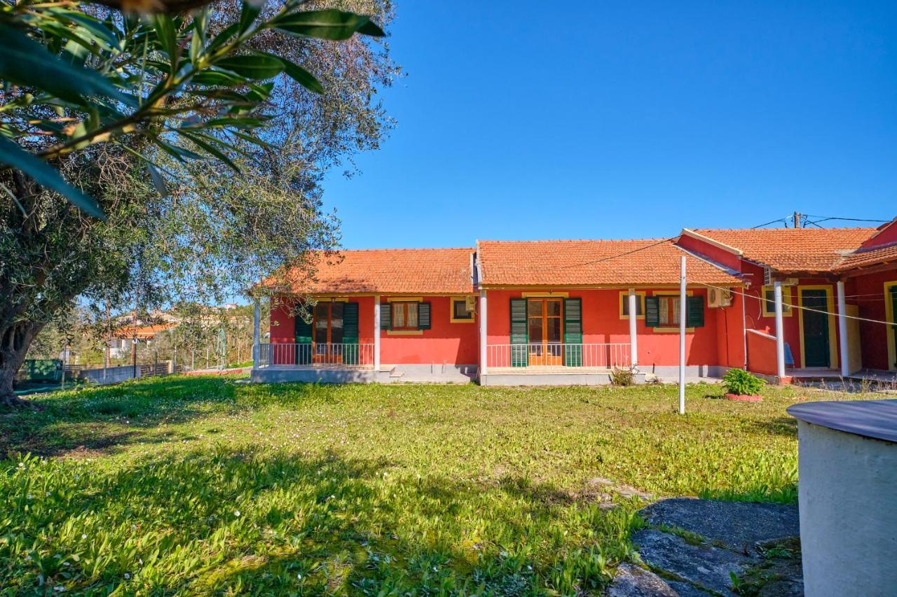 Theodora Apartments Agios Stefanos Corfu 에이지오스스테파노스 외부 사진